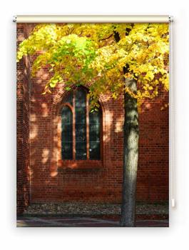 Rollo Herbst in der Stadt - Sichtschutz Extartiqe